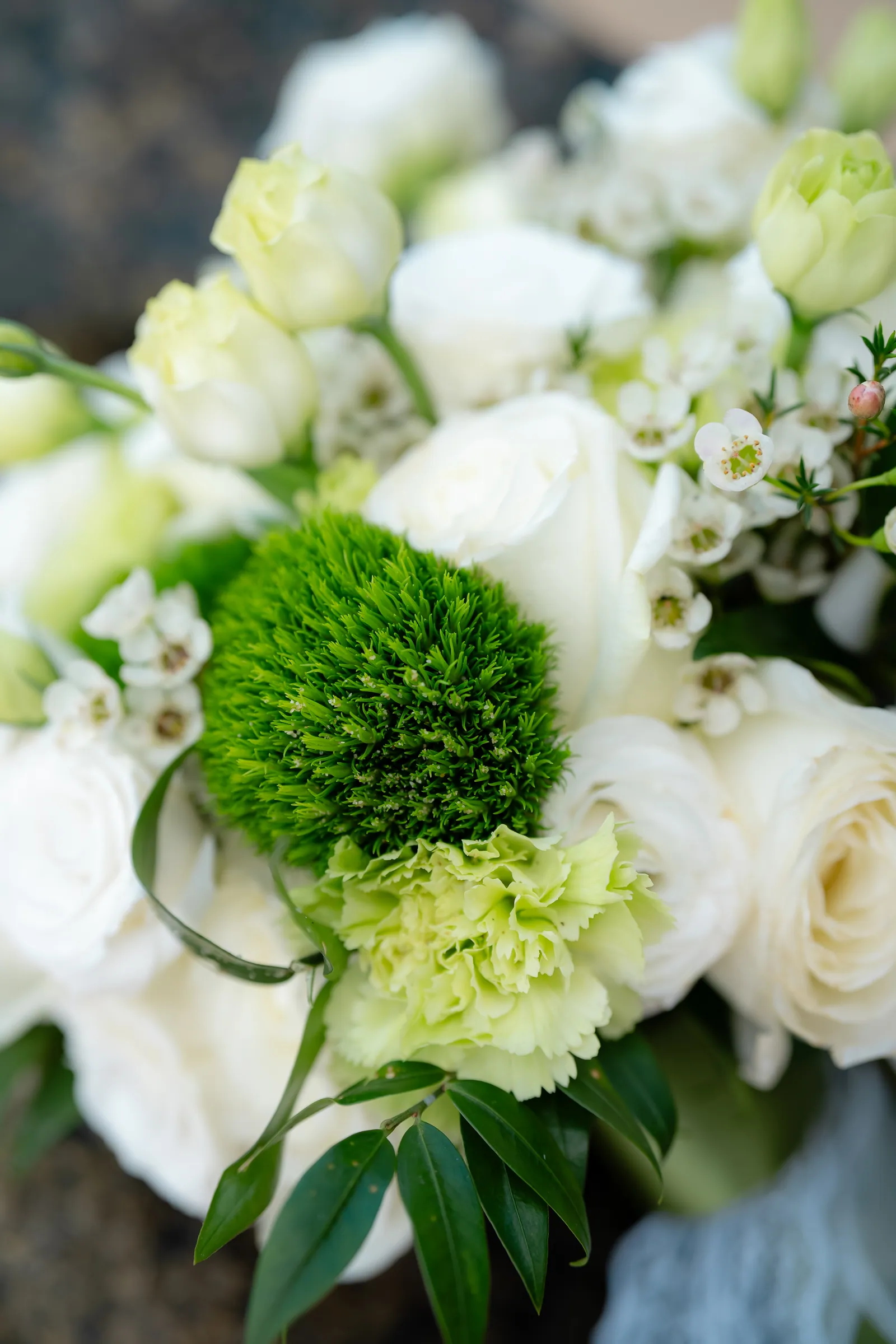 Gemma's bridal bouquet held close — white roses, calla lilies and a single round green flower against soft foliage