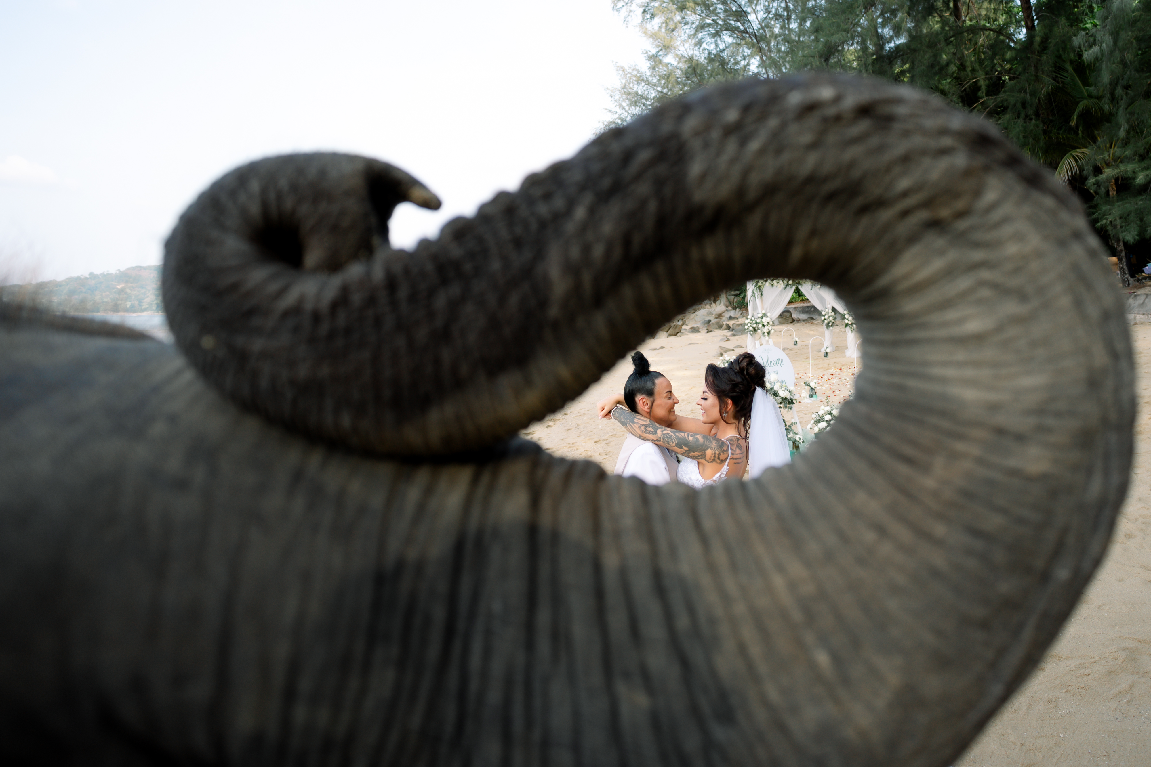 A baby elephant's trunk curled in the foreground on Hua Beach, framing Gemma and Rebecca kissing behind it