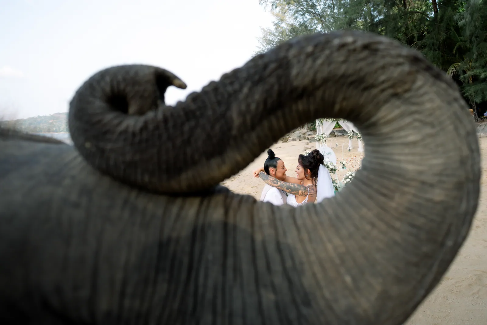 A baby elephant's trunk curled in the foreground on Hua Beach, framing Gemma and Rebecca kissing behind it