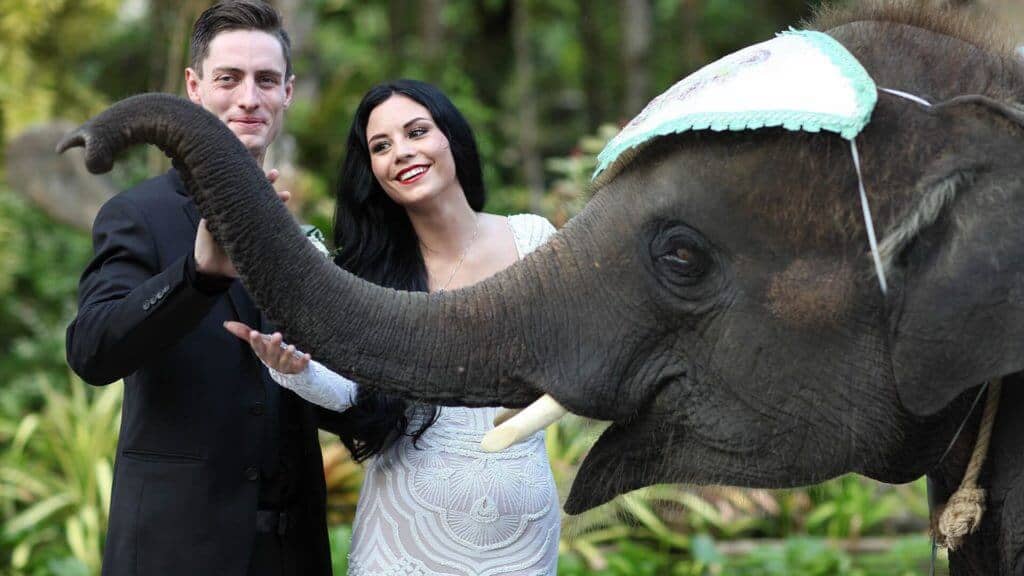 An intimate beach elopement on Phuket with the couple beneath a small floral arch.